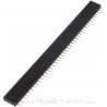 Header 40 Pin (female)